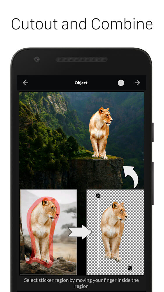 LightX Pro Unlocked