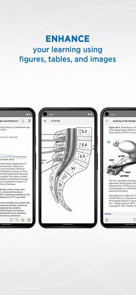 Gynecology and Obstetrics Android