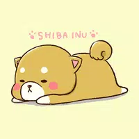 Cute Mini-Shiba Theme Android