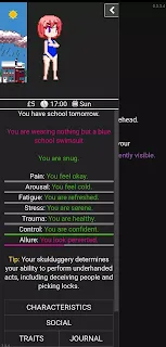 Degrees of Lewdity APK