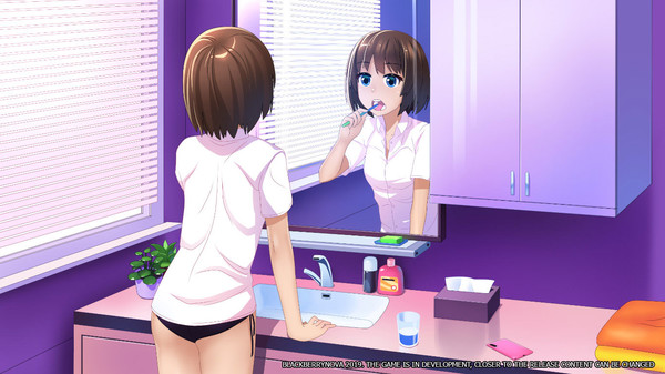 BlackberryNOVA 1.37+DLCs