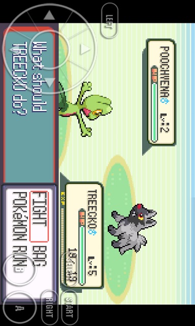 Pokemon Omega Ruby