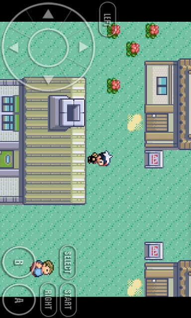 Pokemon Omega Ruby