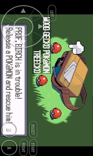 Pokemon Omega Ruby
