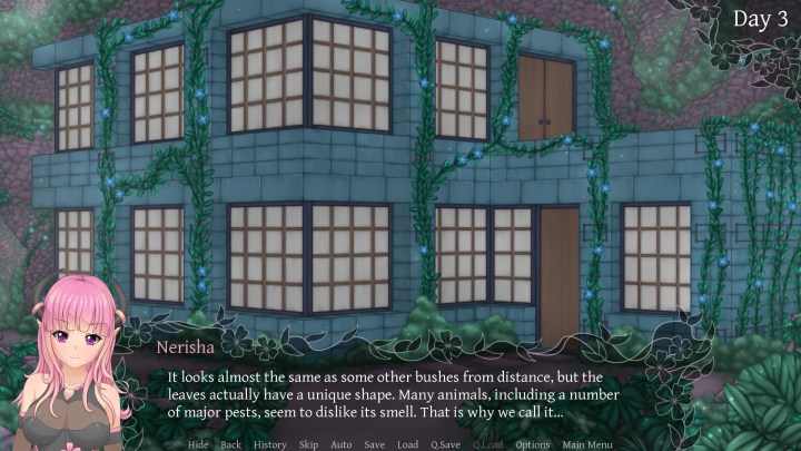Succubus Research Diary