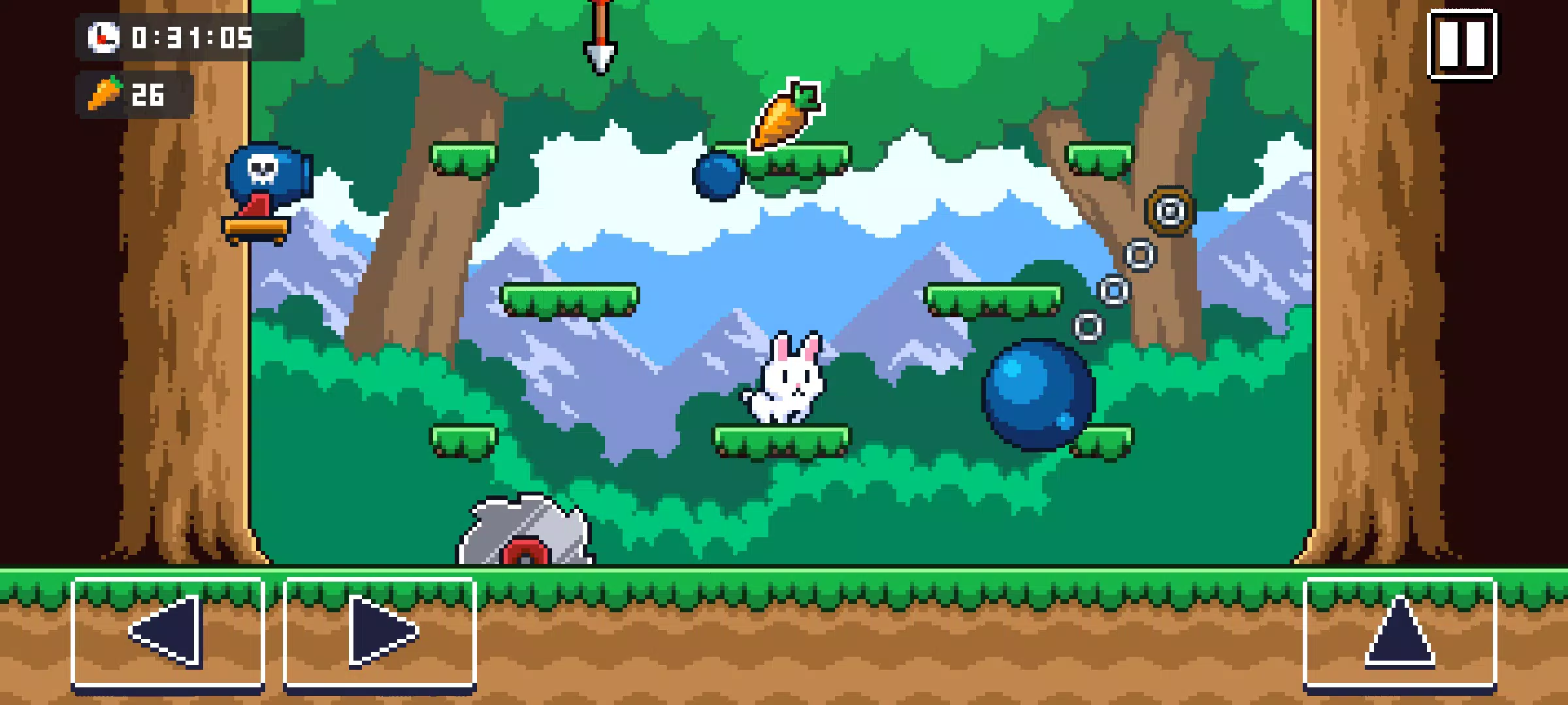 Poor Bunny!