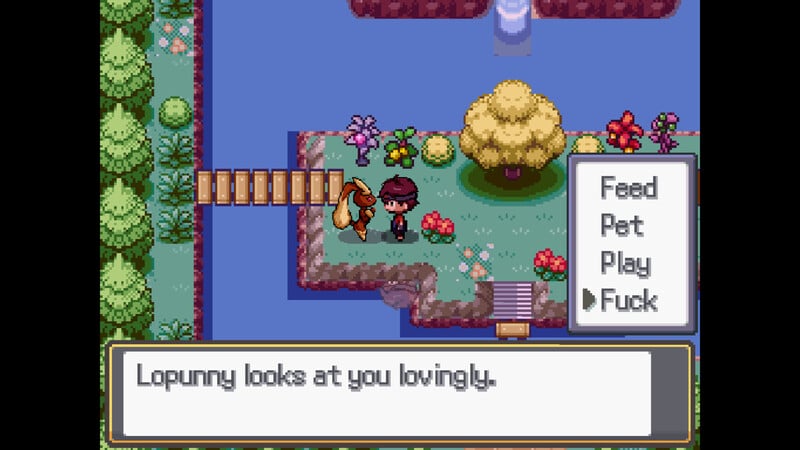 Pokémon &#039;H&#039; Version