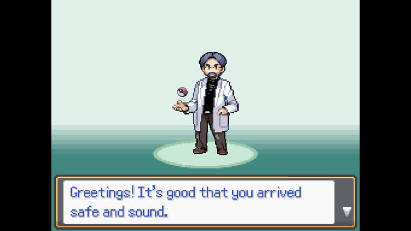 Pokémon &#039;H&#039; Version