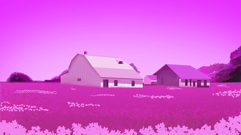 Pink World 3