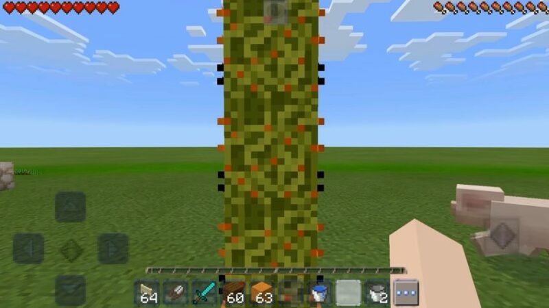 Craftsman Crafting Building