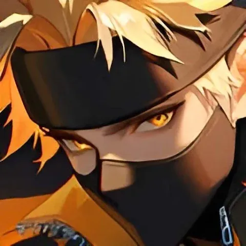 Ninja Heroes Newera