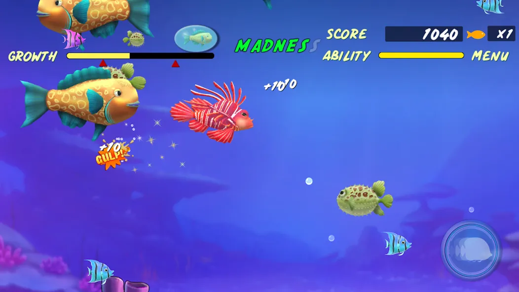 Let Me Eat Big Fish Eat Small