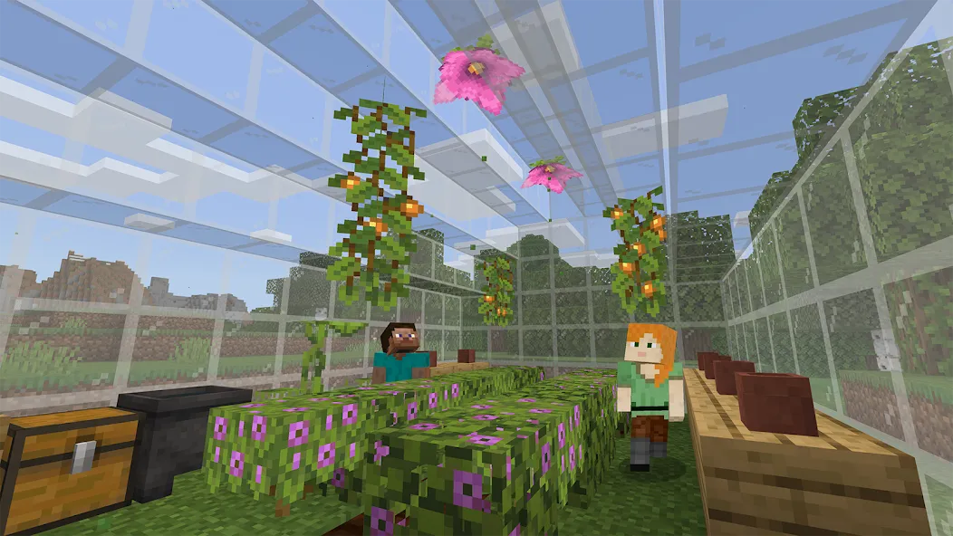 Minecraft: Education Edition