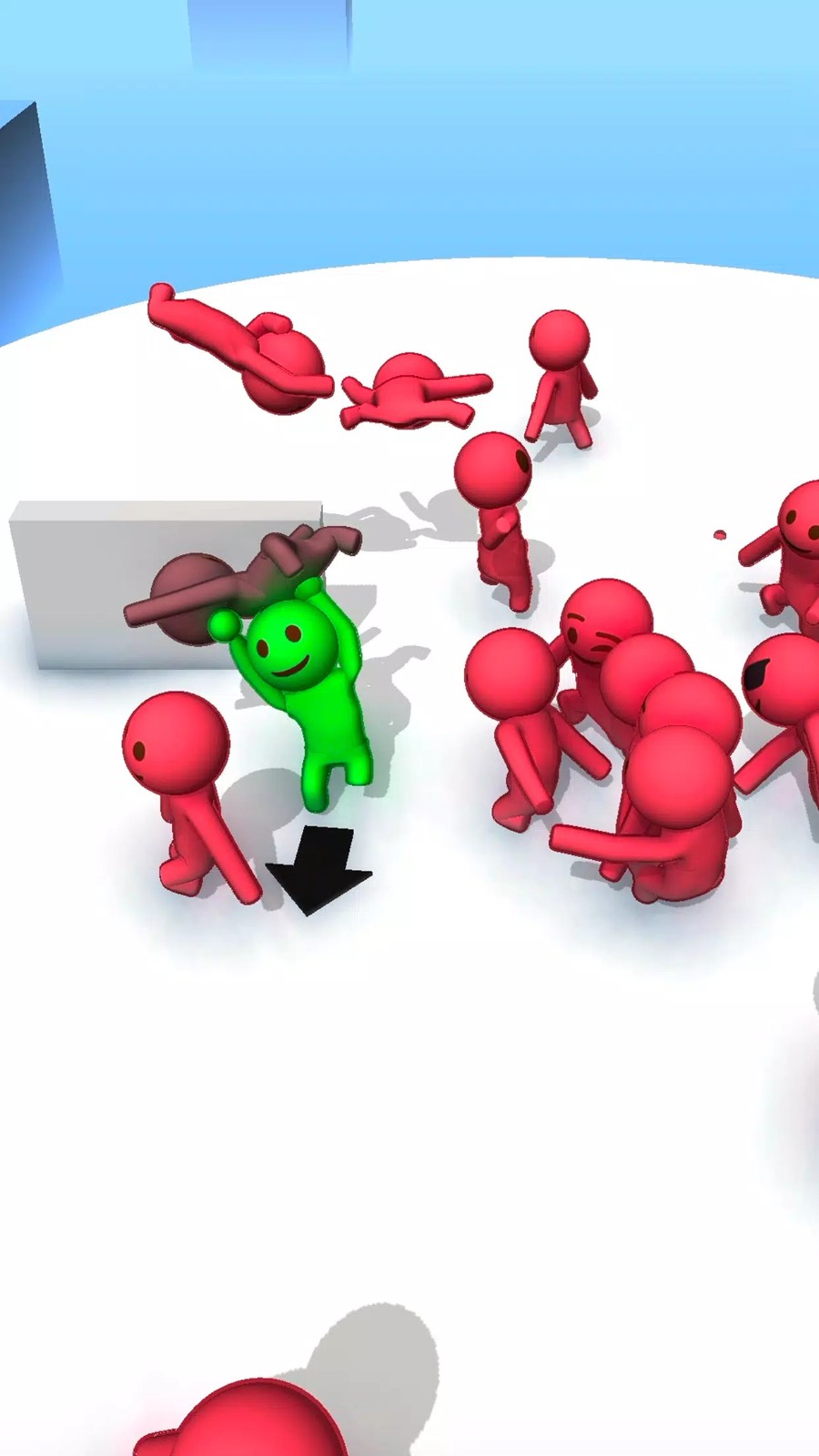 What The Fight