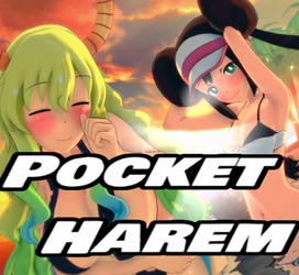 Pocket Harem