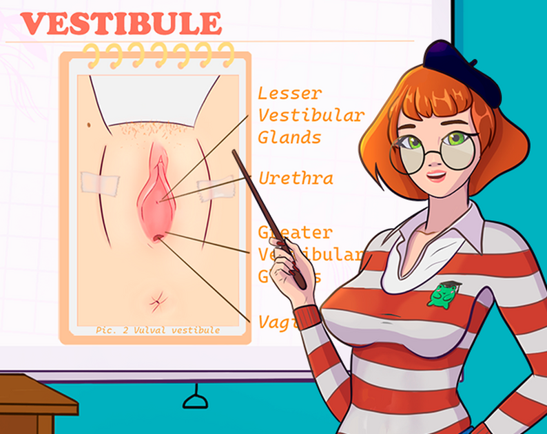 SexEd Course