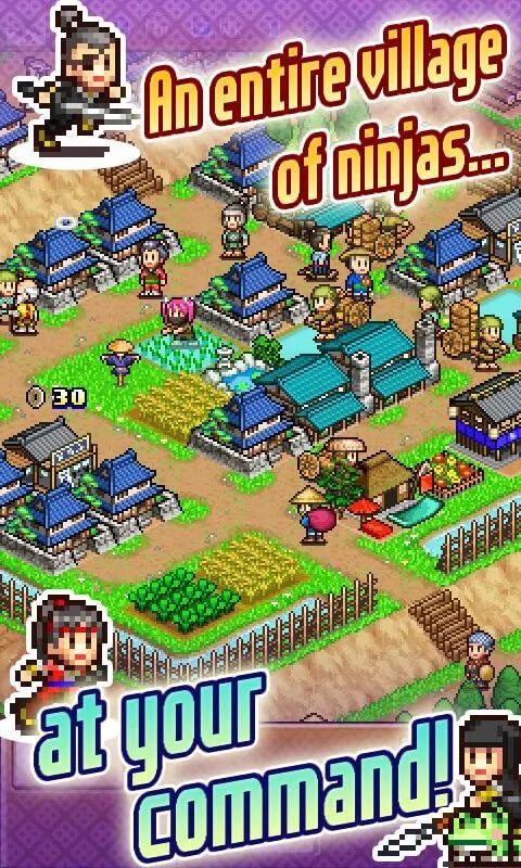 Ninja Village