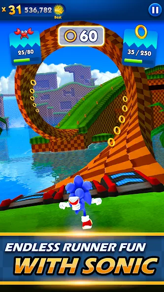 Sonic Dash Run Sonic Dash Run