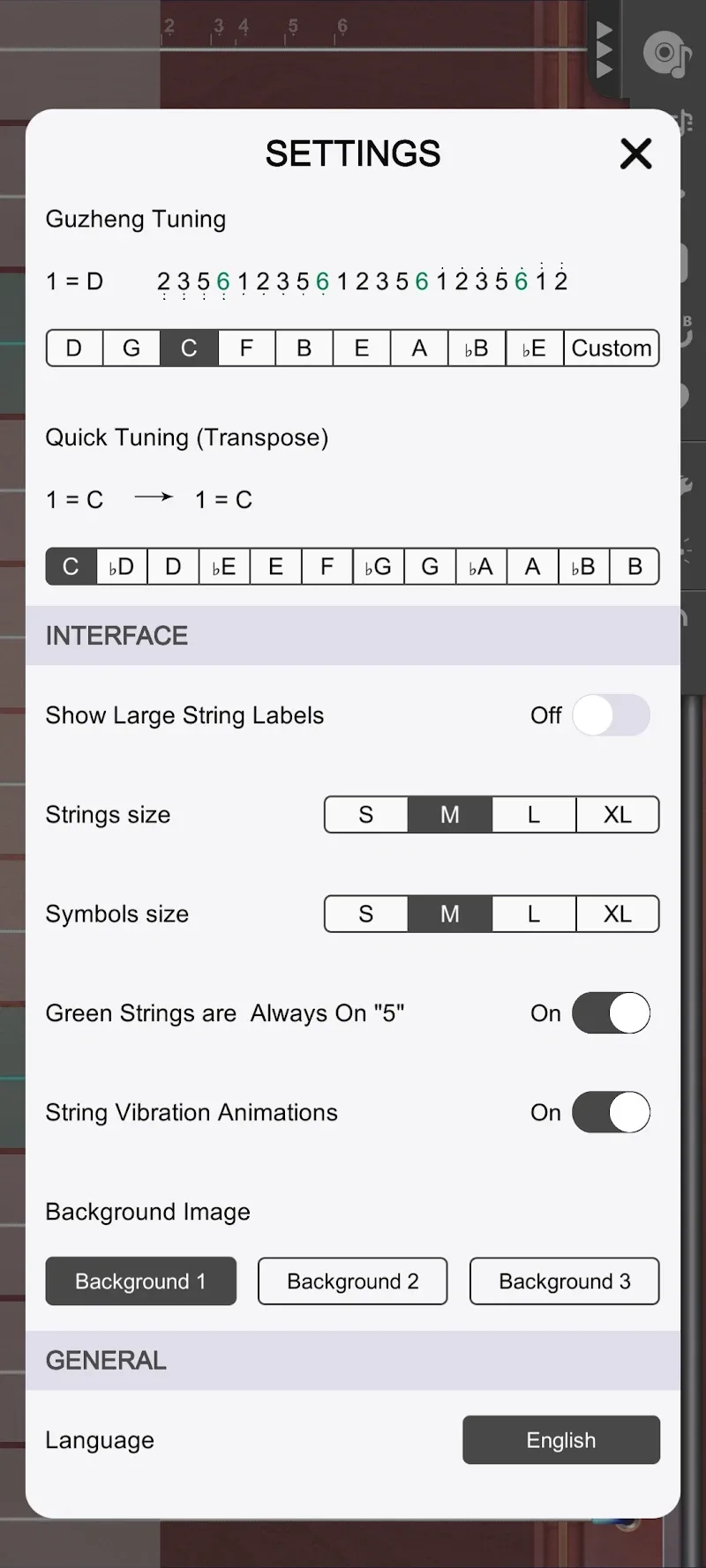 Guzheng Master