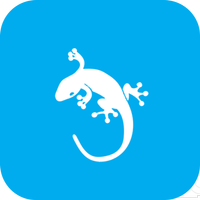 GeckoVPN