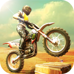 Bike Racing 3D