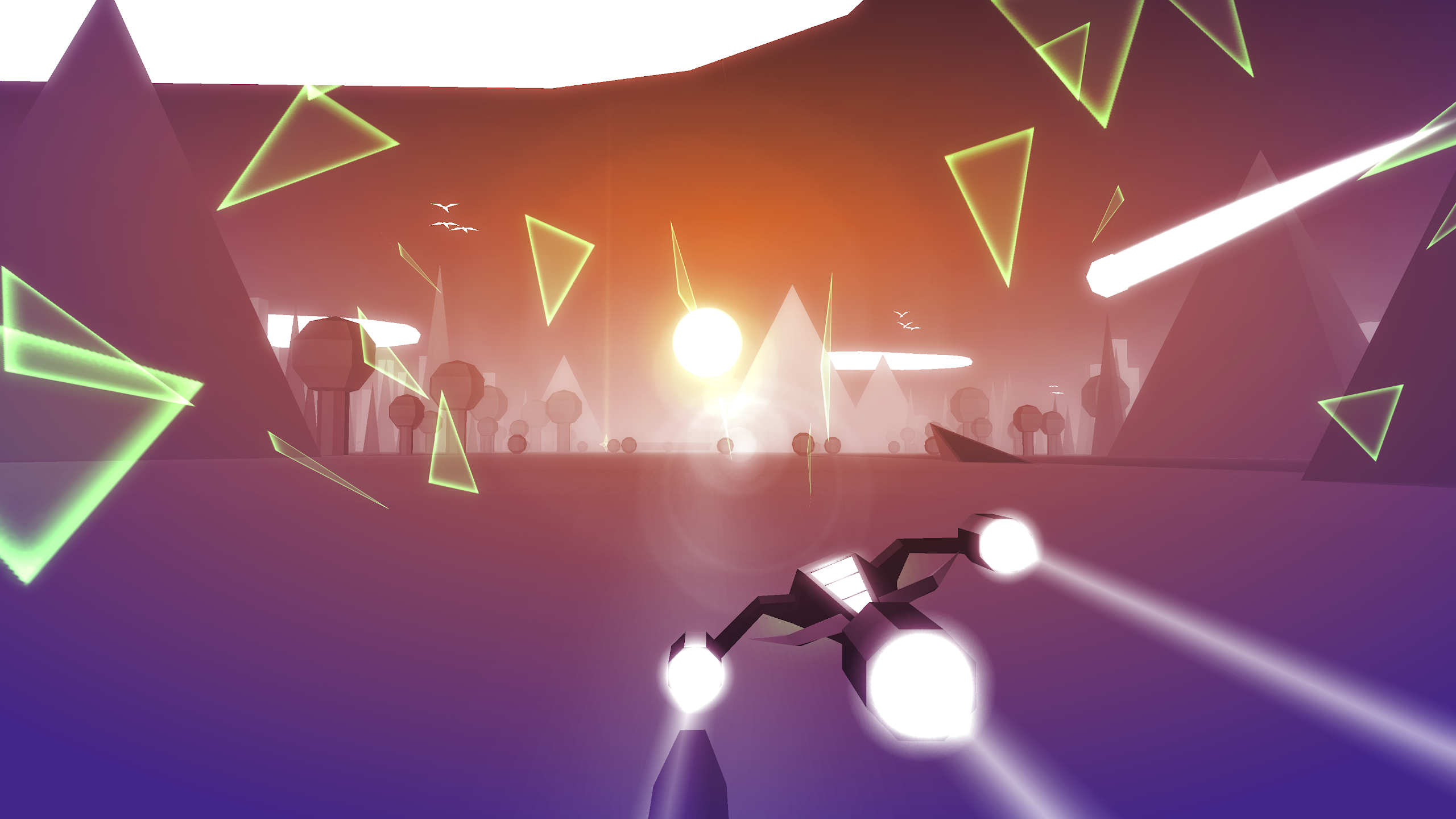 Race the Sun