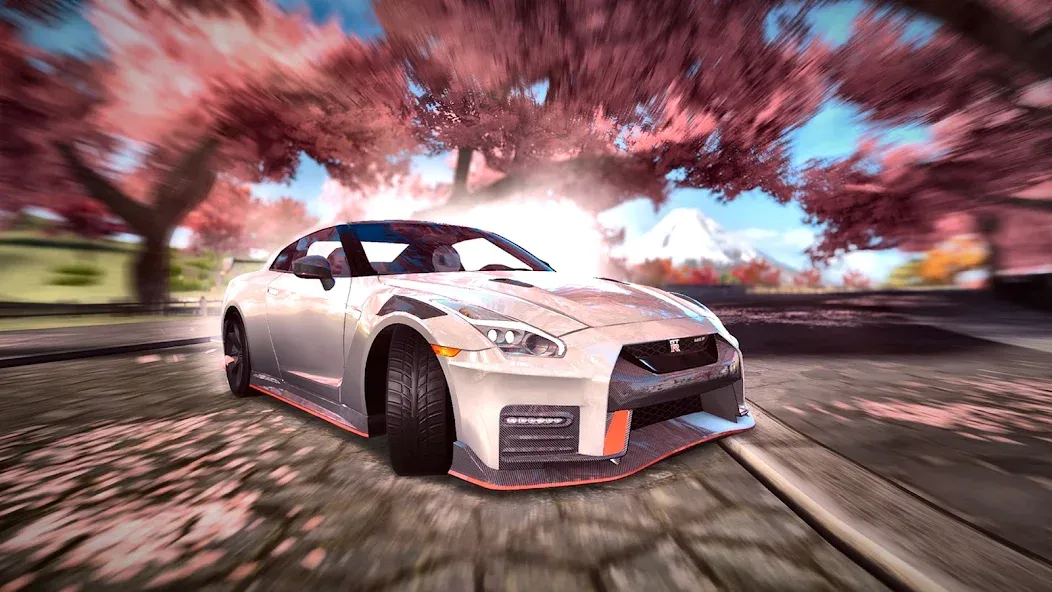 Race Max Race Max