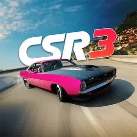 CSR 3