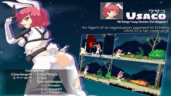 Echidna Wars DX APK