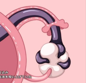 Himekan 2 Latest