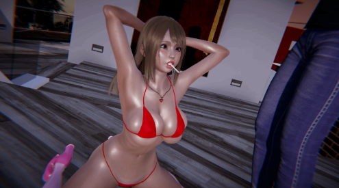Nympho Tamer apk