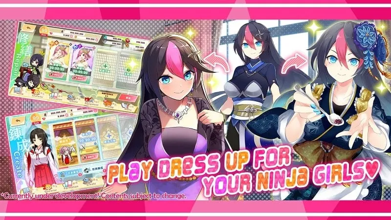 Moe! Ninja Girls RPG
