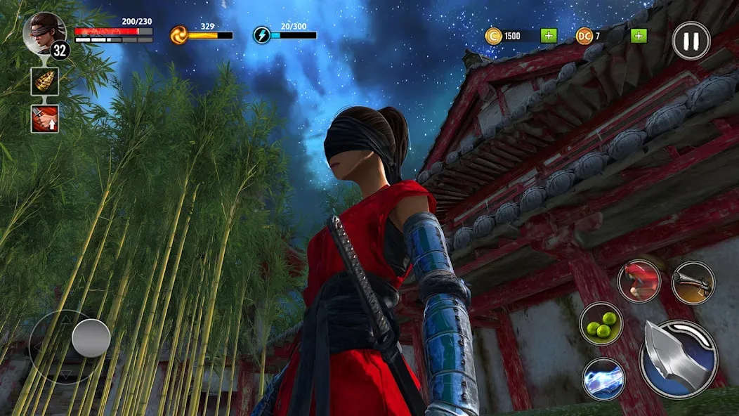 Ninja Ryuko: Shadow Ninja Game Ninja Ryuko: Shadow Ninja Game