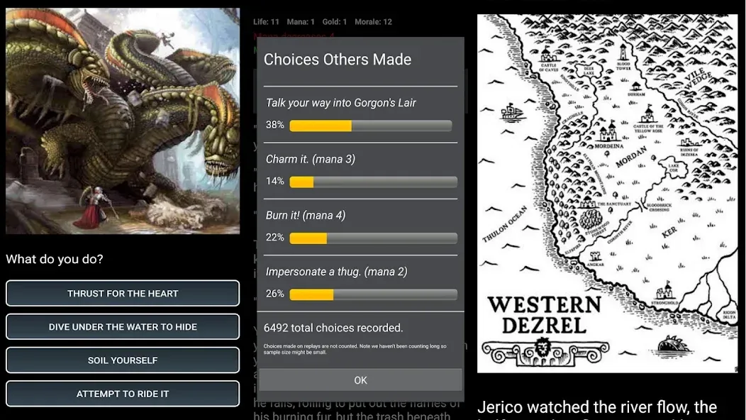 Dungeons and Decisions RPG Dungeons and Decisions RPG