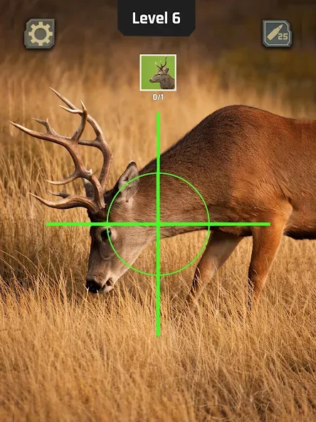 Animal Hunter: Wild Shooting