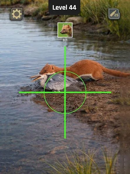 Animal Hunter: Wild Shooting