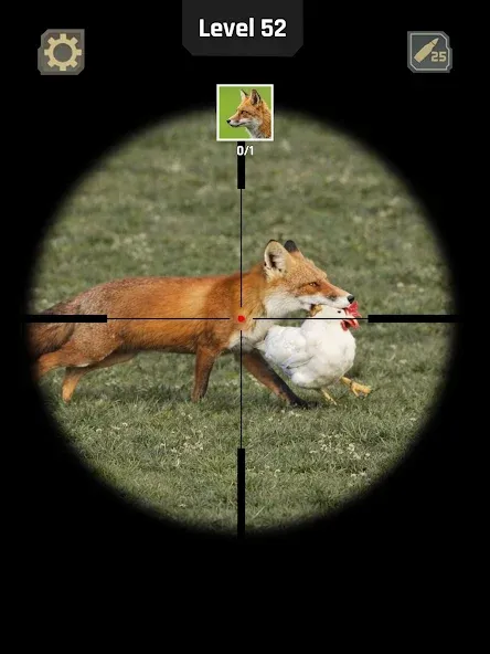 Animal Hunter: Wild Shooting