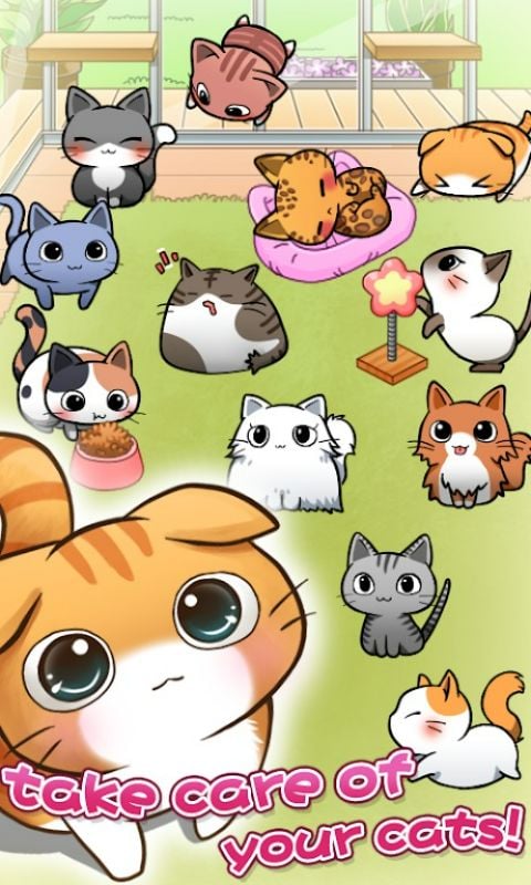 Cat Room