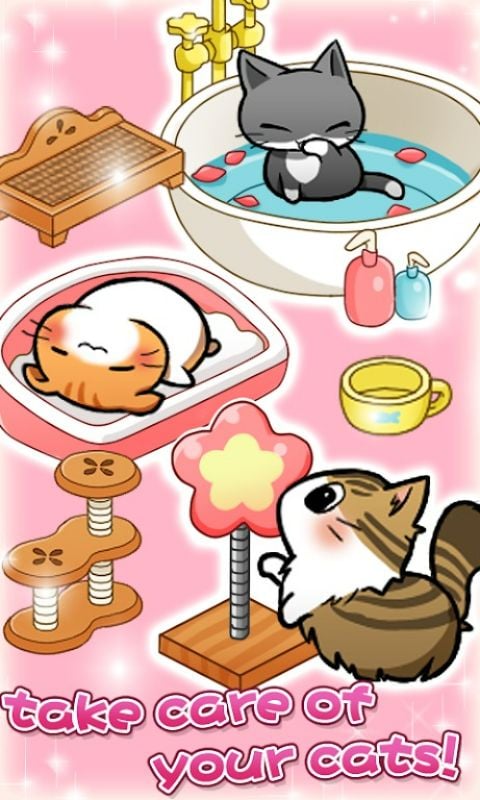 Cat Room
