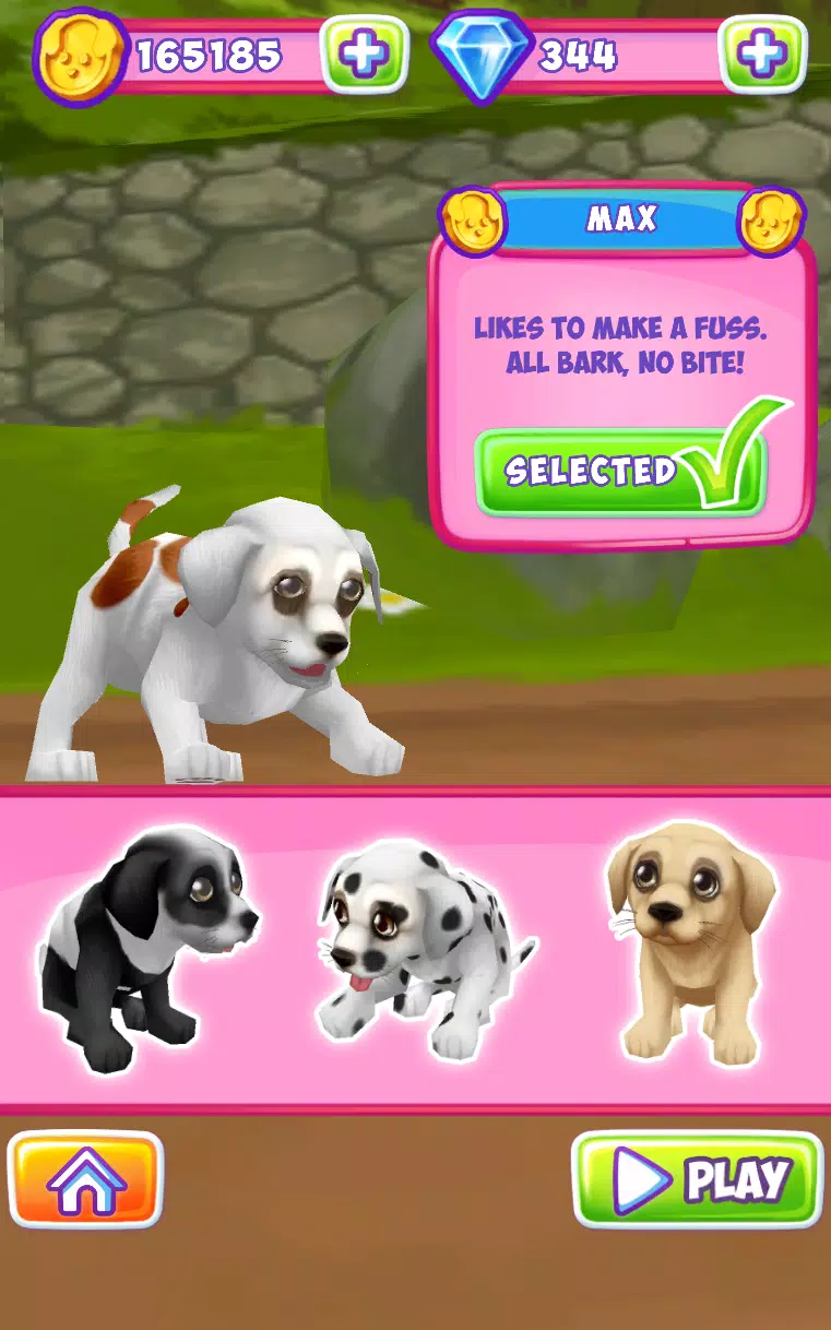 Dog Run