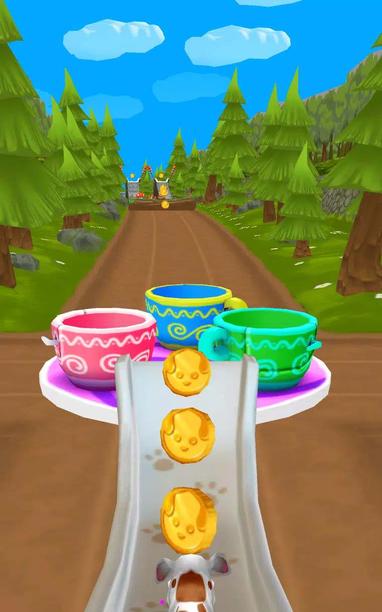 Dog Run