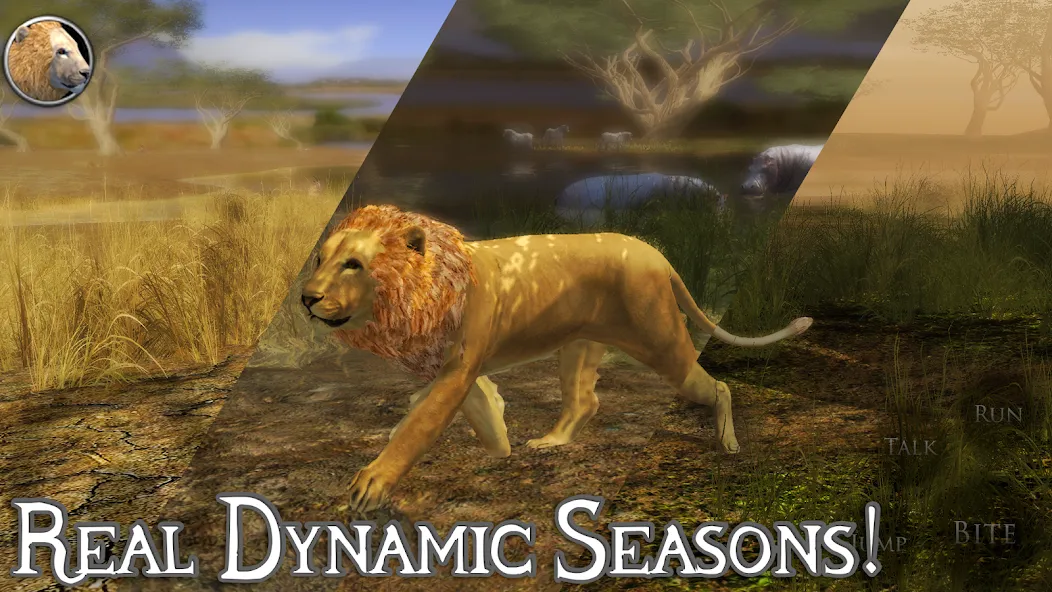 Ultimate Lion Simulator 2