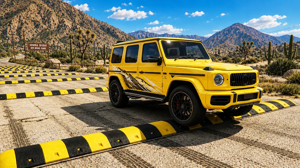 Car Suspension Test