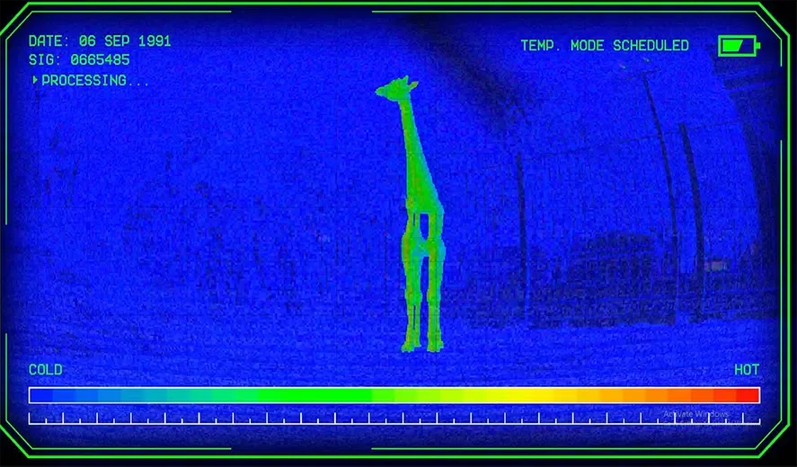 Zoochosis