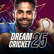 Dream Cricket 2024 apk