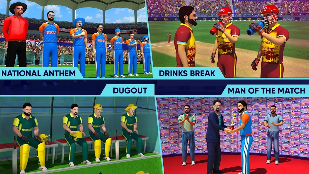 World Cricket Championship Lte World Cricket Championship Lte