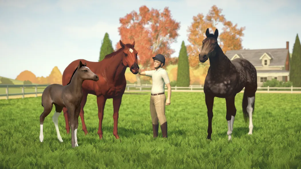 Rival Stars Horse Racing Rival Stars Horse Racing