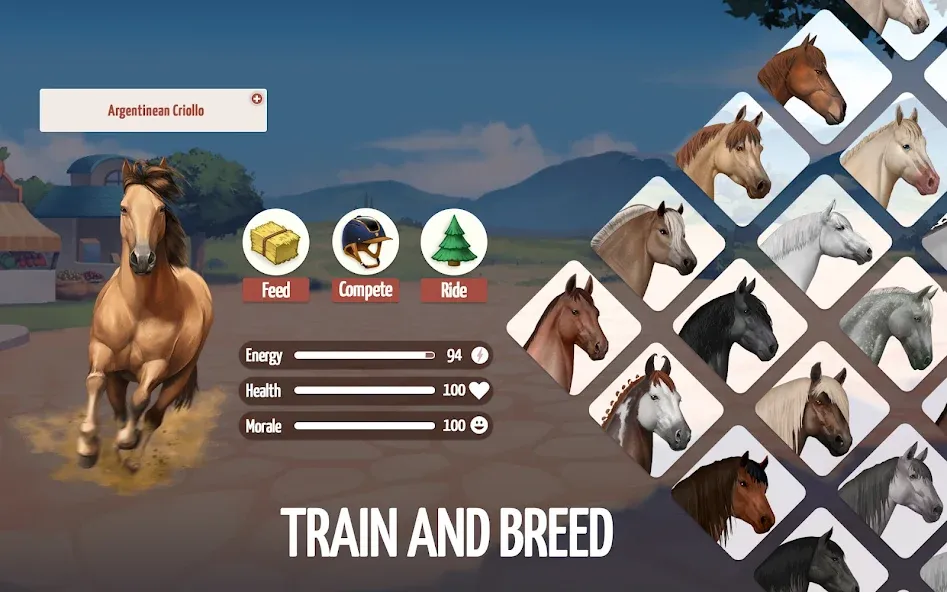 Howrse - Horse Breeding Game Howrse - Horse Breeding Game