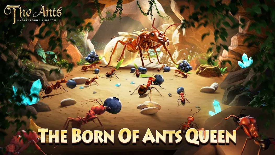The Ants Underground Kingdom