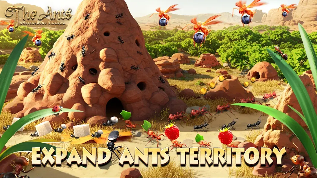 The Ants Underground Kingdom
